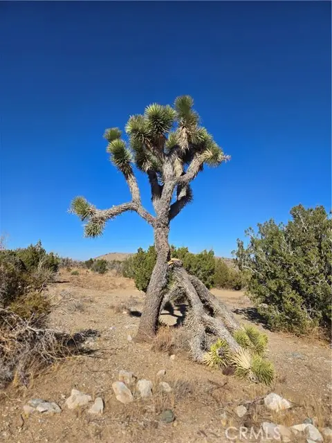 0 Murphys Lane, Littlerock, CA 93543