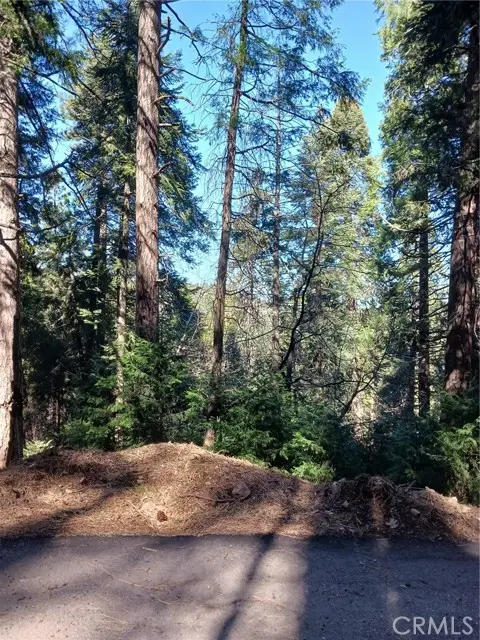 35 Spring Drive, Cedarpines Park, CA 92322