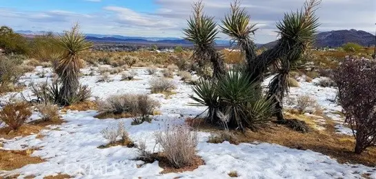 0 Desert Queen Avenue, Twentynine Palms, CA 92277 - #3