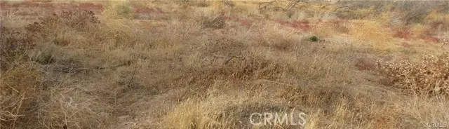 0 043-330-01-07-5 Twisselman Road, Lost Hills, CA 93249 - #1