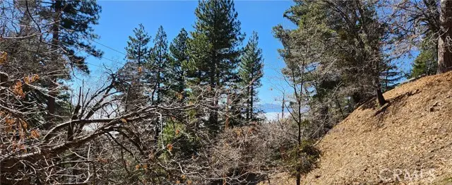 0 Preston Drive, Running Springs, CA 92382 - #2