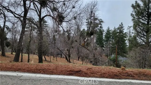 0 Winding Way, Running Springs, CA 92382 - #2