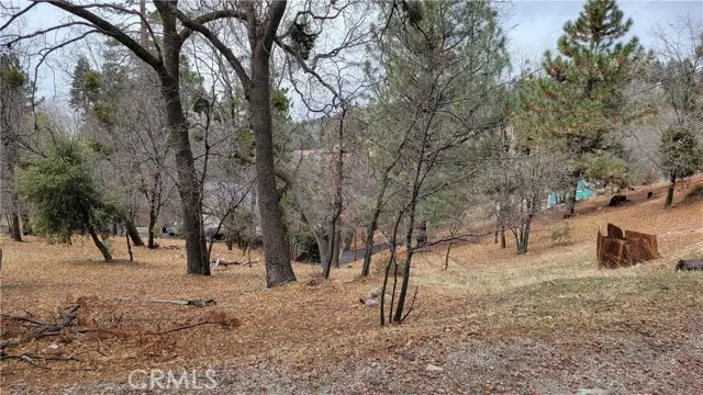 0 Winding Way, Running Springs, CA 92382 - #3