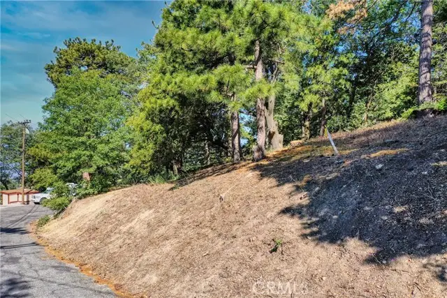 246 Ferndale Dr, Running Springs, CA 92382 - #2