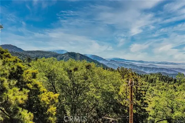 246 Ferndale Dr, Running Springs, CA 92382 - #3