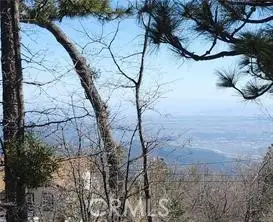 42 Park Drive, Running Springs, CA 92382