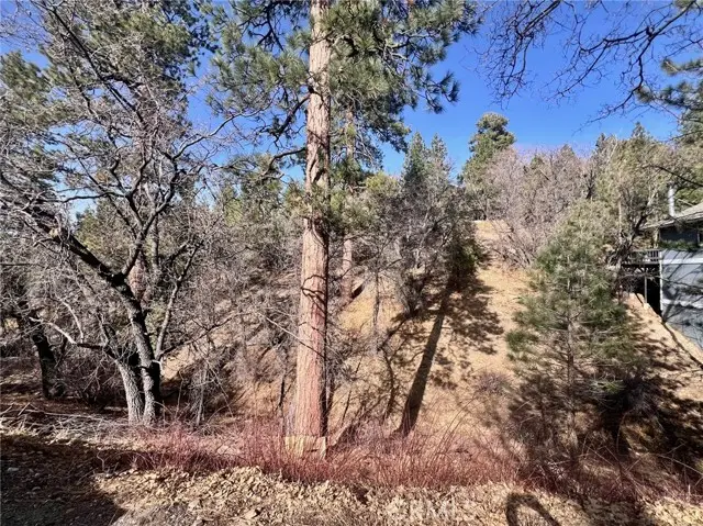 1230 Minton Avenue, Big Bear City, CA 92314 - #3