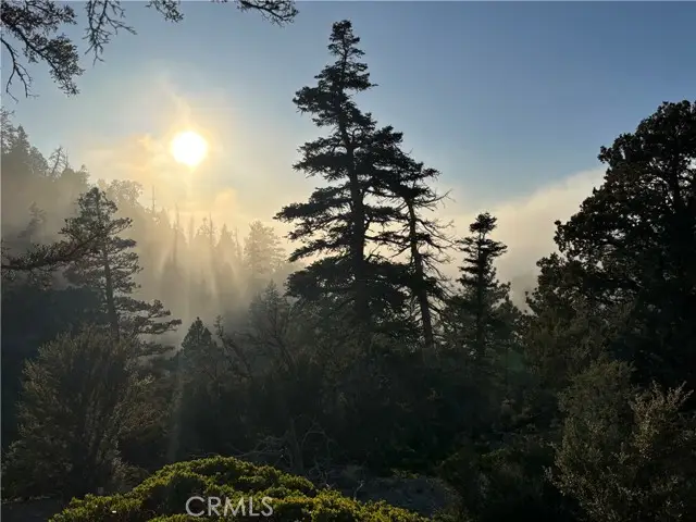 0 Ironwood, Angelus Oaks, CA 92305 - #1