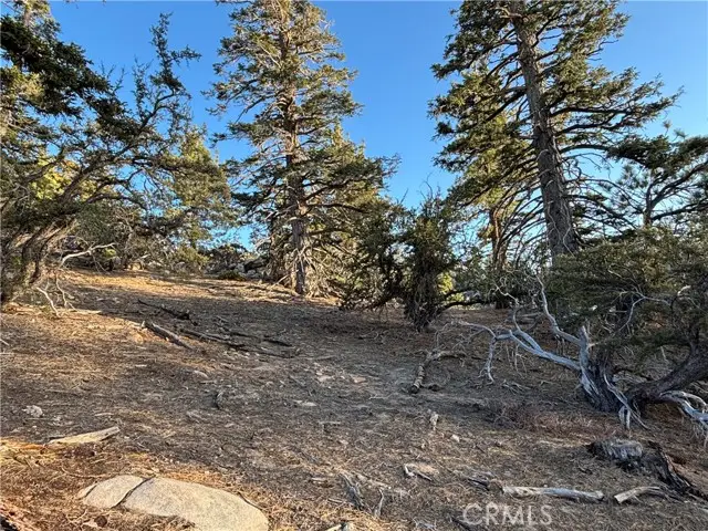 0 Ironwood, Angelus Oaks, CA 92305 - #3