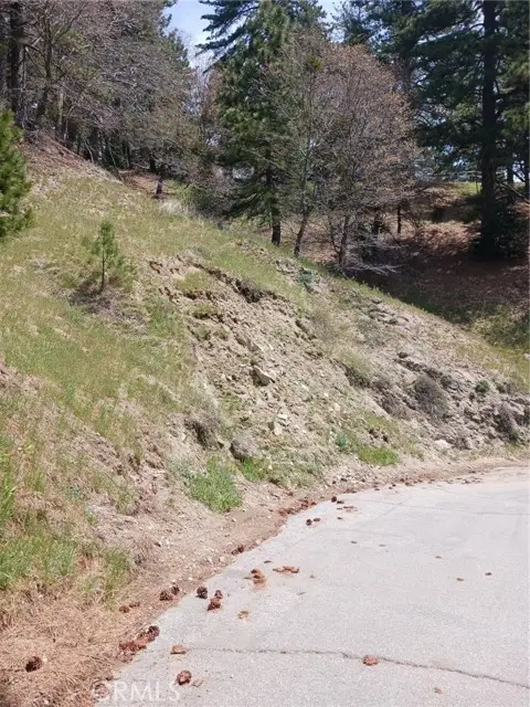 21858 Fern Canyon Road, Cedarpines Park, CA 92322