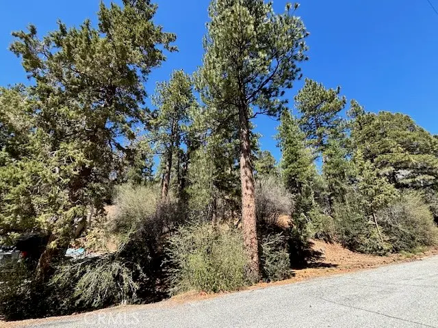0 Rainbow Boulevard, Big Bear City, CA 92314 - #2