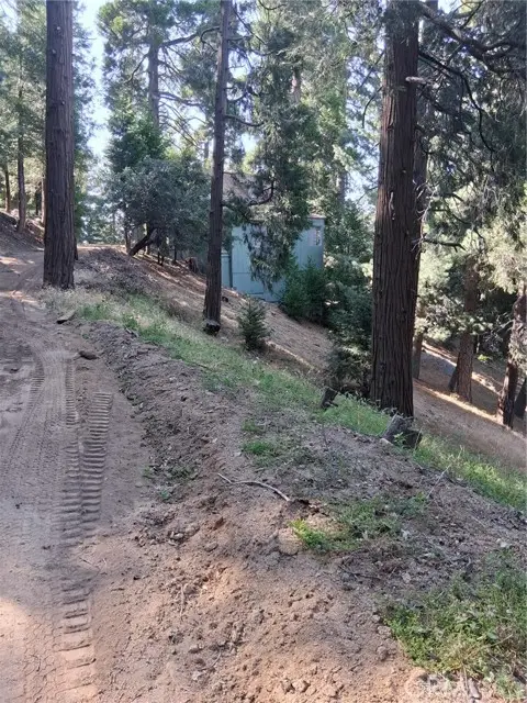 61 Evergreen Drive, Cedarpines Park, CA 92322 - Image #2