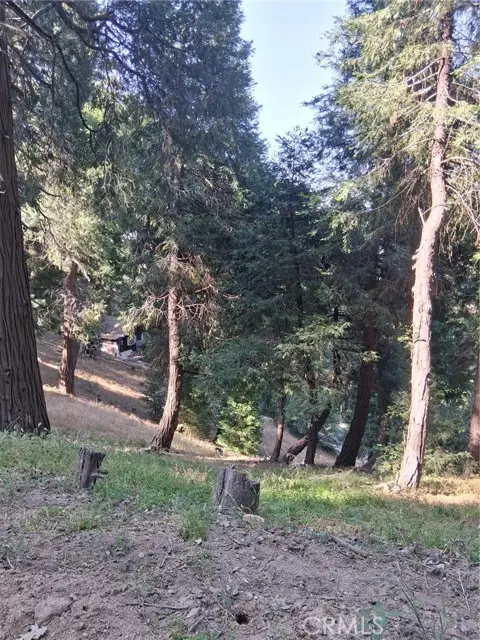 61 Evergreen Drive, Cedarpines Park, CA 92322 - Image #3