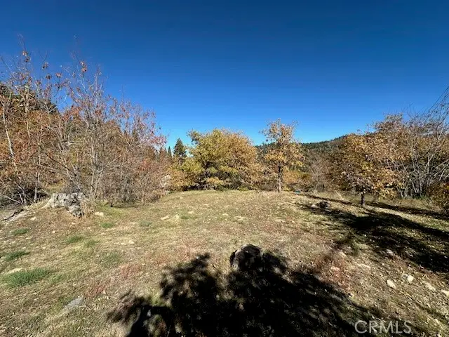 2379 Chicago Drive, Running Springs, CA 92382 - #2