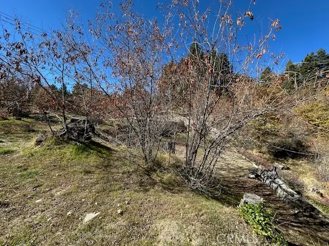 2379 Chicago Drive, Running Springs, CA 92382 - #3