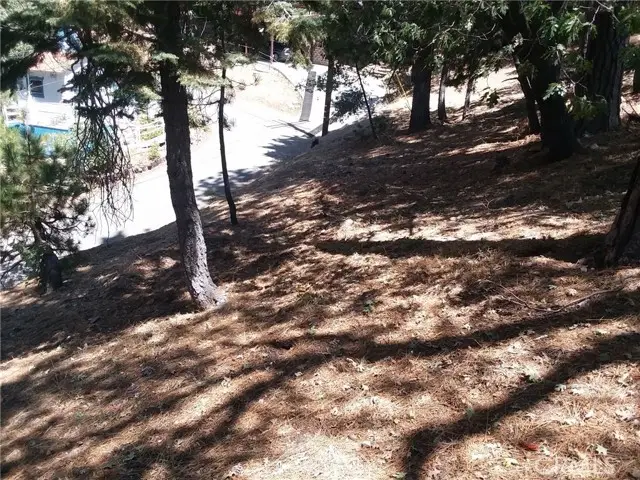 32960 Lone Pine Drive, Running Springs, CA 92382 - #2