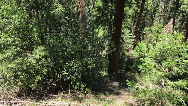 0 Deer Run Road, Cedarpines Park, CA 92322 - #1