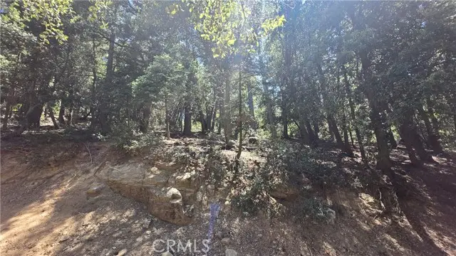 0 Mojave River Road, Cedarpines Park, CA 92322 - #1