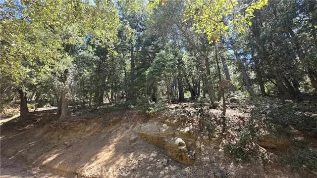 0 Mojave River Road, Cedarpines Park, CA 92322 - #3