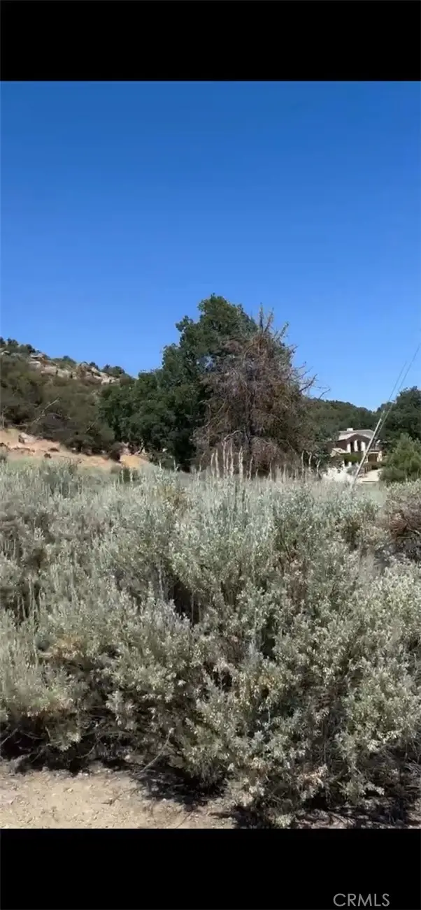 #3