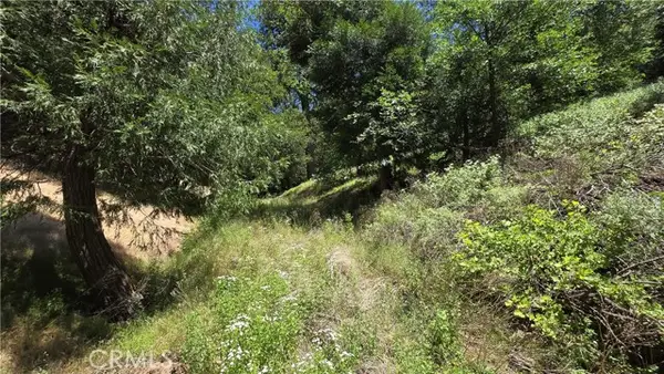0 Mojave River Road, Cedarpines Park, CA 92322