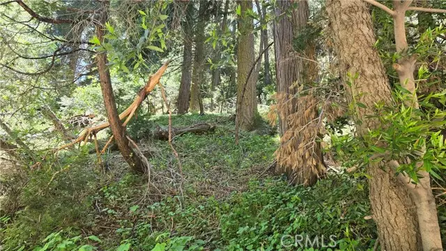 #3