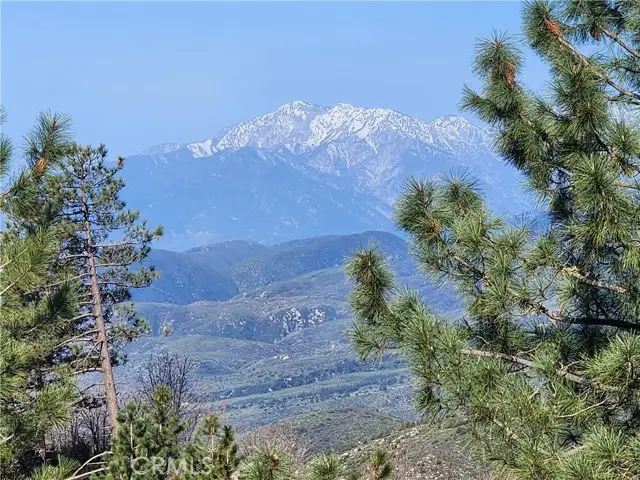 30110 Skyline, Running Springs, CA 92382 - #3