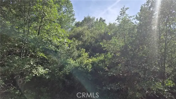 0 Elder Drive, Cedar Glen, CA 92321