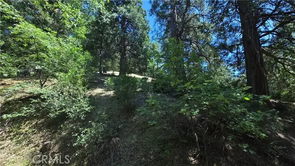 22494 Mojave River Road, Cedarpines Park, CA 92322