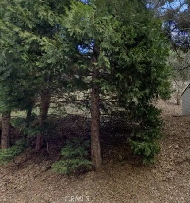 0 Dart Canyon Road, Crestline, CA 92325 - #3