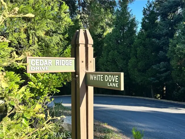 28980 White Dove Lane, Lake Arrowhead, CA 92352 - #3
