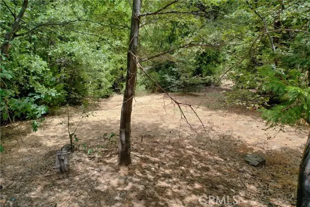 27513 Meadow Bay Drive, Lake Arrowhead, CA 92352 - #3