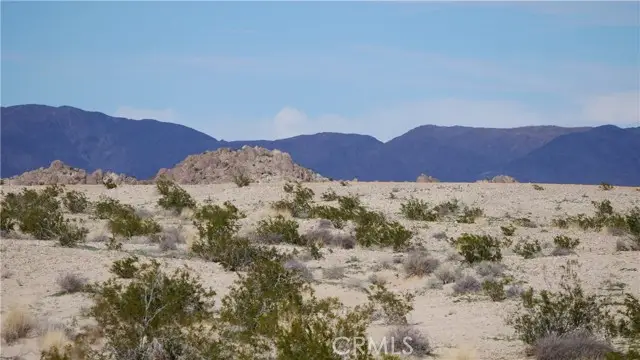 0 Wonder Valley, Twentynine Palms, CA 92277 - #1