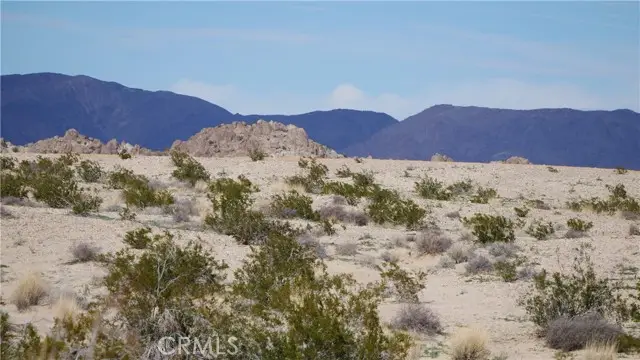 0 Wonder Valley, Twentynine Palms, CA 92277 - #2