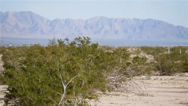 0 Wonder Valley, Twentynine Palms, CA 92277 - #3
