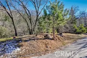 0 Deer, Lake Arrowhead, CA 92352 - #2