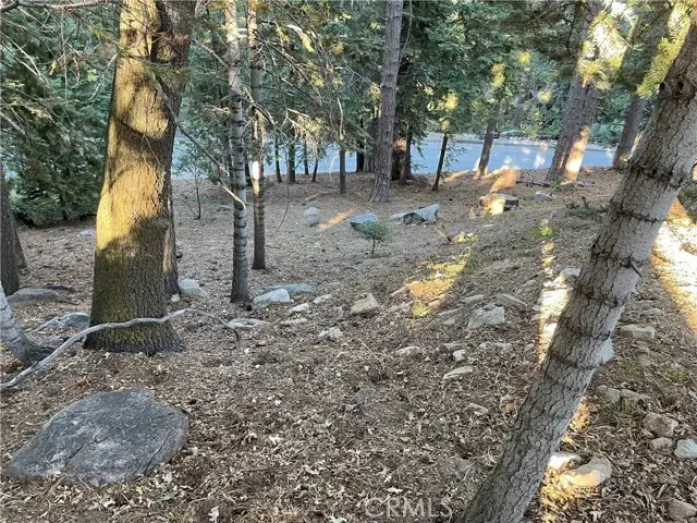 26405 Walnut Hills, Twin Peaks, CA 92391 - #3