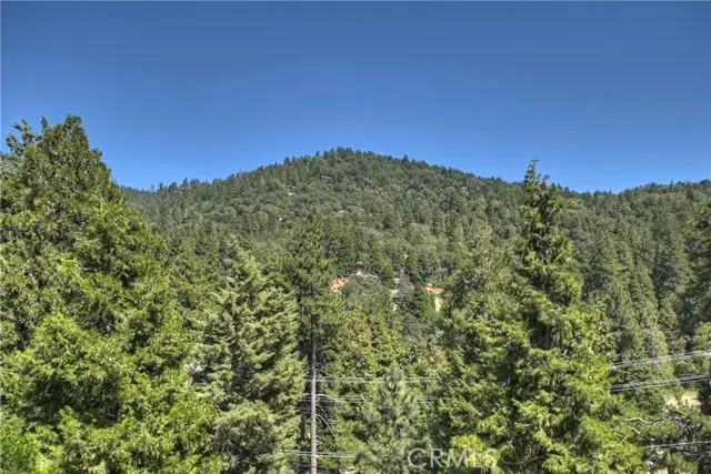 489 Dorn, Crestline, CA 92325 - #3