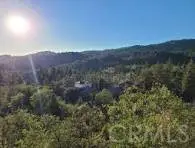 1894 Arrow Bear Park, Running Springs, CA 92382