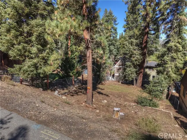 42994 Falls Avenue, Big Bear Lake, CA 92315 - #3
