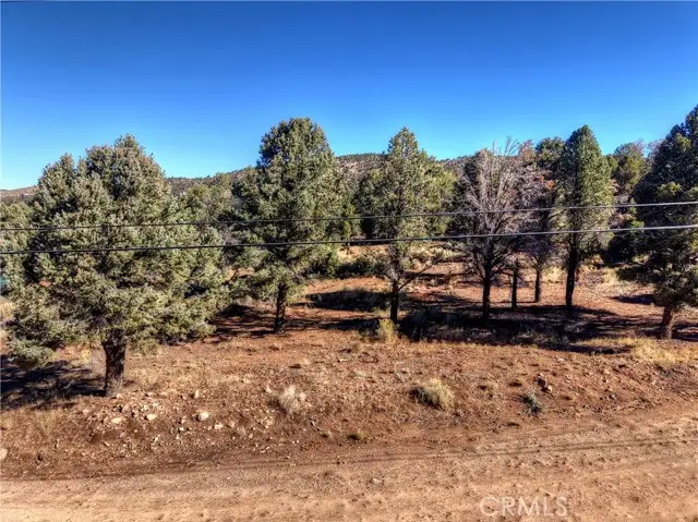 0 Minnow, Big Bear City, CA 92314 - #3