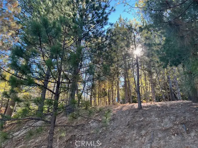 82 Pixie, Running Springs, CA 92382 - Image #2