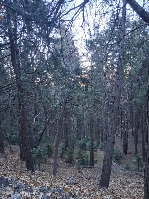 0 Reservoir, Cedarpines Park, CA 92322 - #1