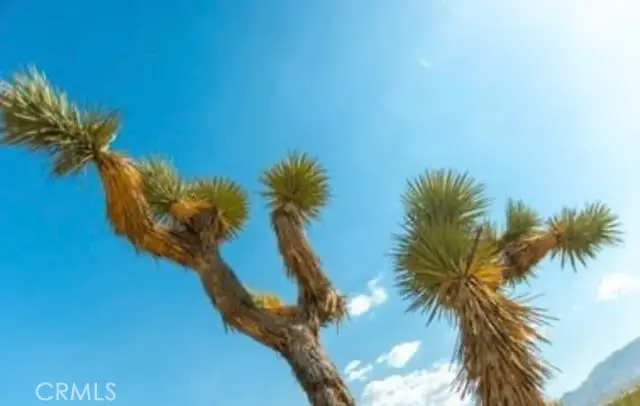 10 171st, Palmdale, CA 93591 - Image #3