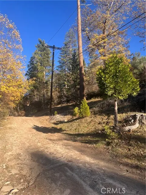 29834 Juniper Drive, Cedar Glen, CA 92321 - #1