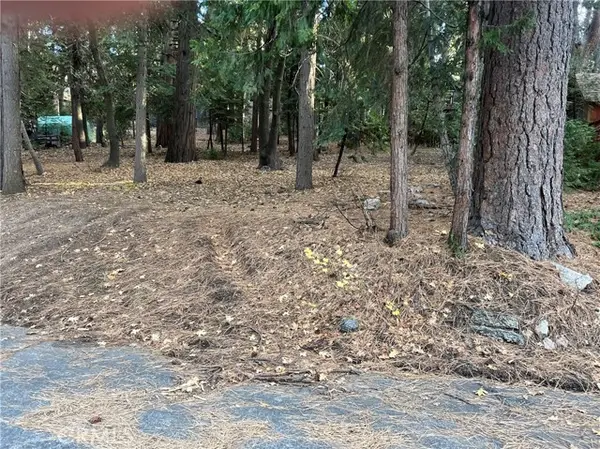 0 CEDARWOOD, Running Springs, CA 92382