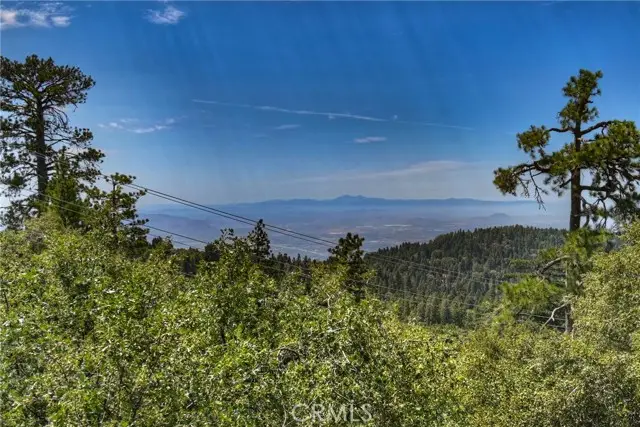 25515 True, Twin Peaks, CA 92391 - #1