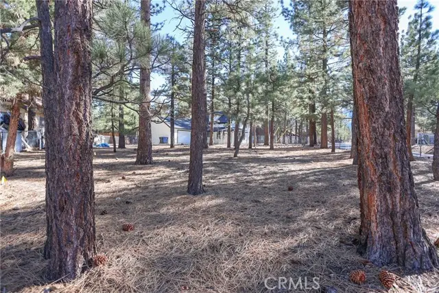 0 Dutch, Big Bear City, CA 92314 - #2