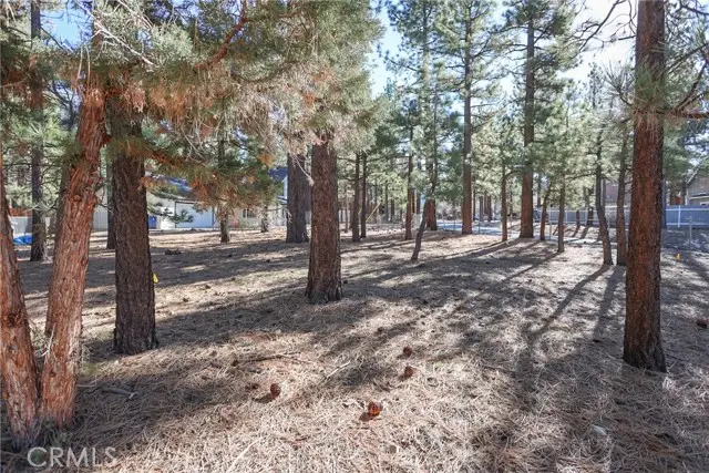 0 Dutch, Big Bear City, CA 92314 - #3