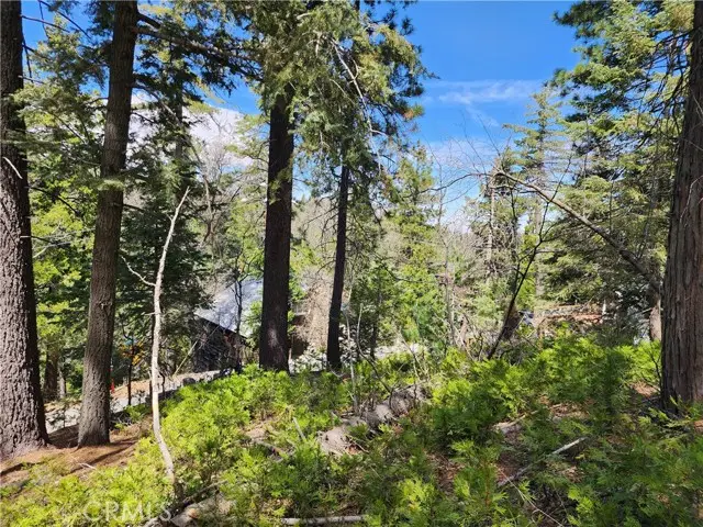 586 Rose, Twin Peaks, CA 92391 - #1